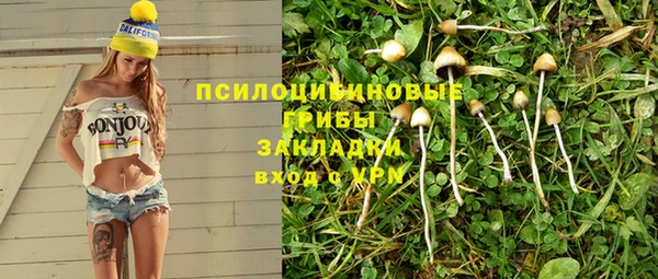 ешки Белоозёрский