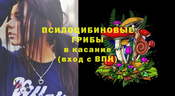 ешки Белоозёрский